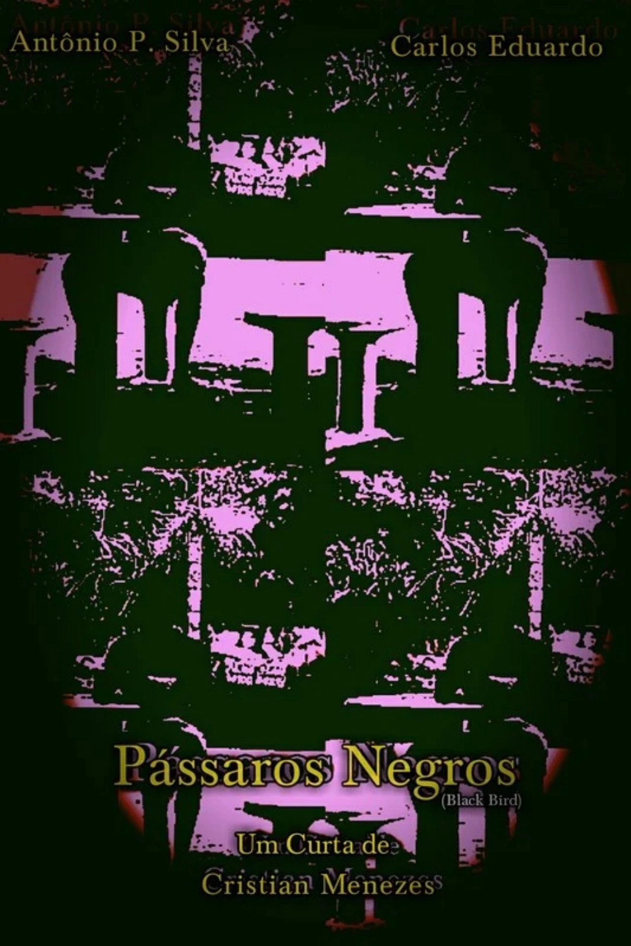 Black Birds