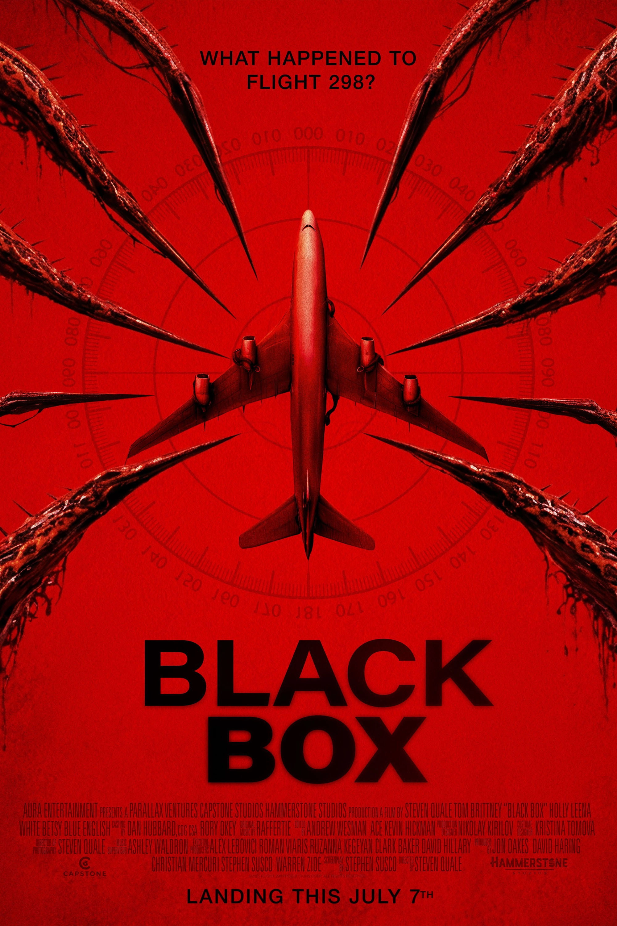 Black Box (Flight 298)