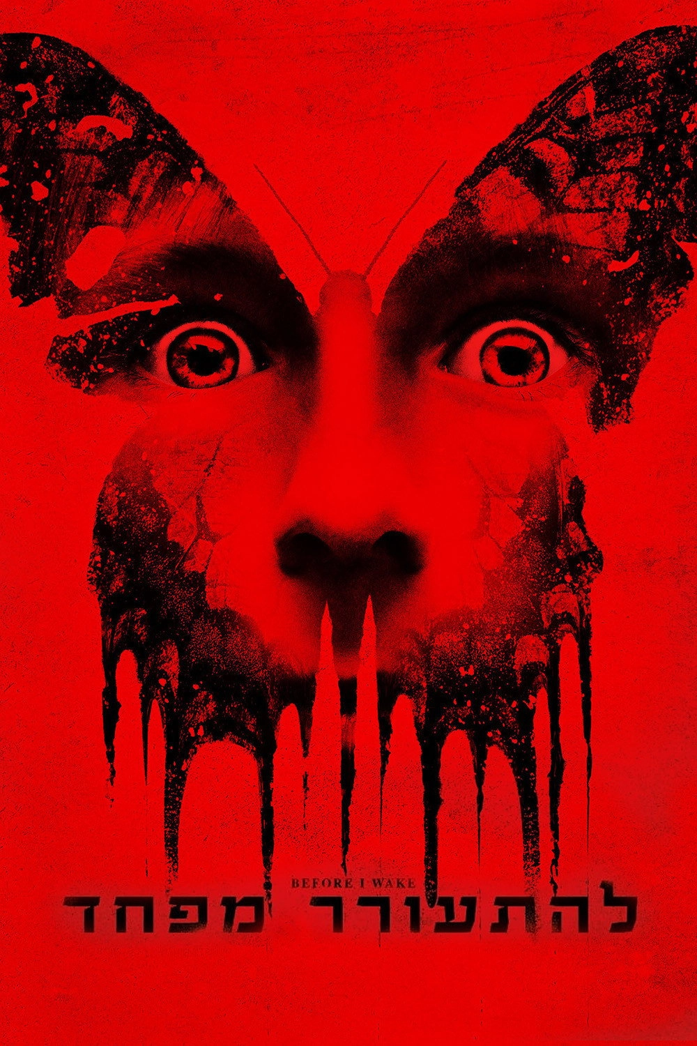 Before I Wake