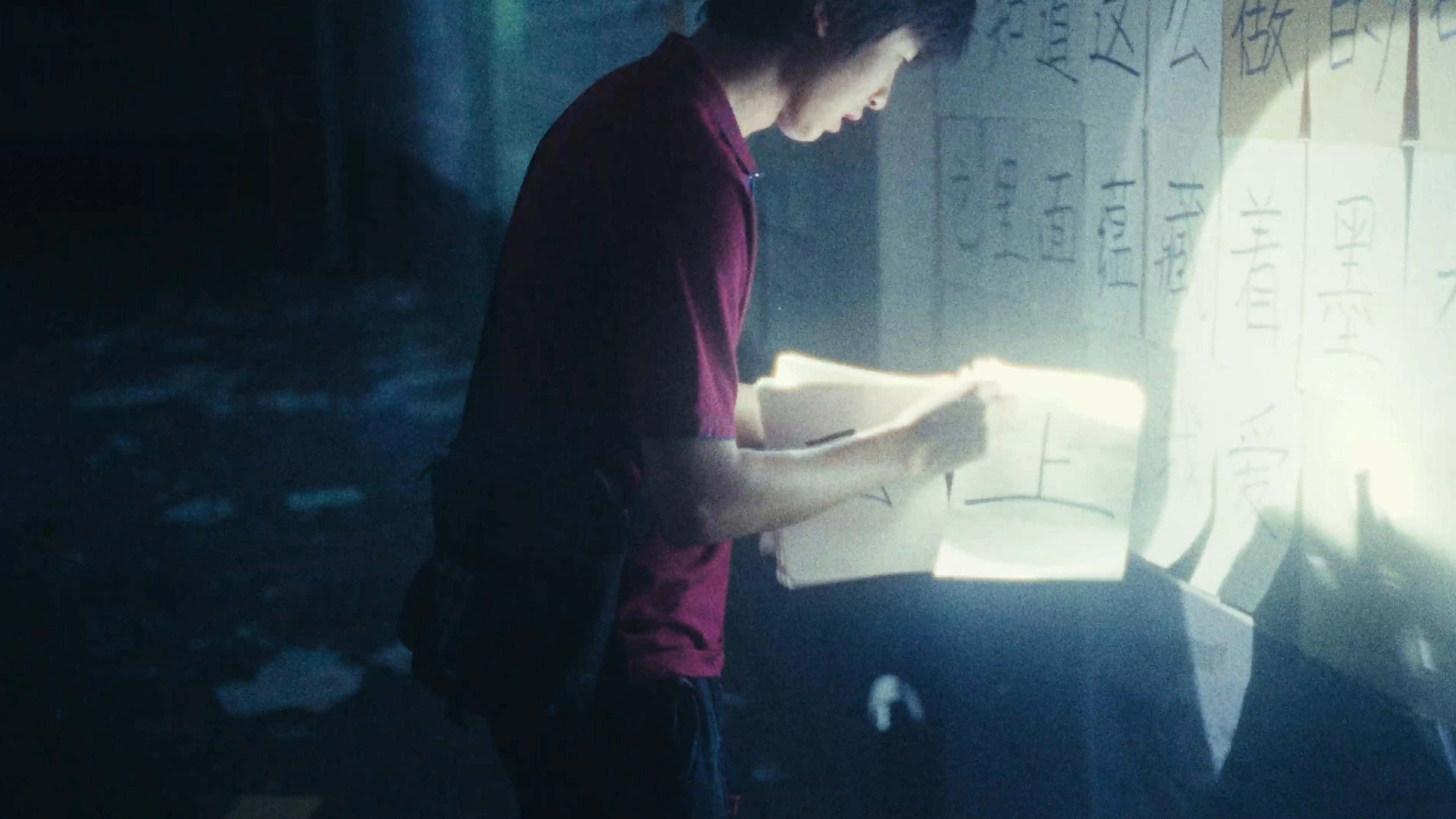 The Novelist