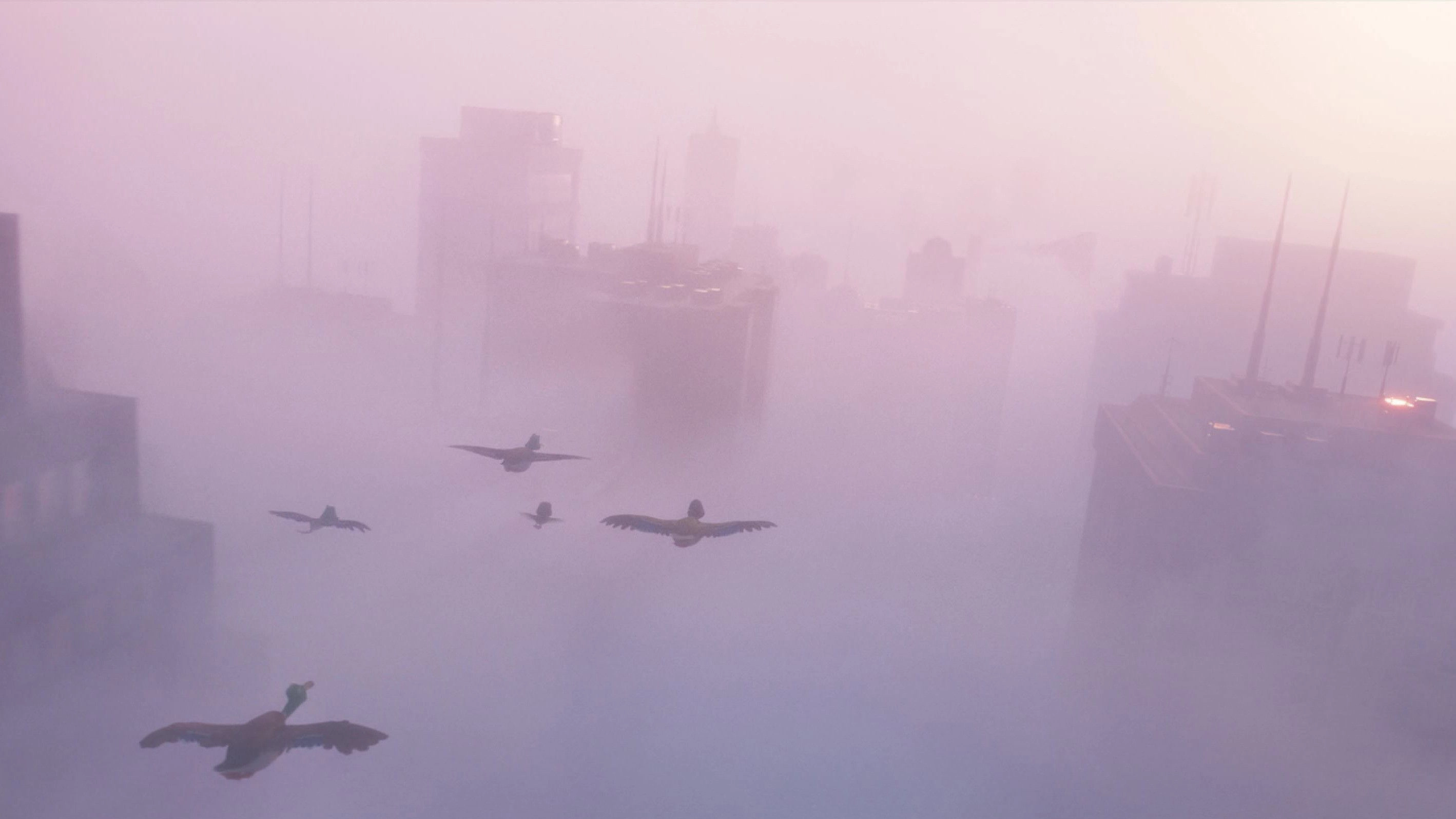 Migration