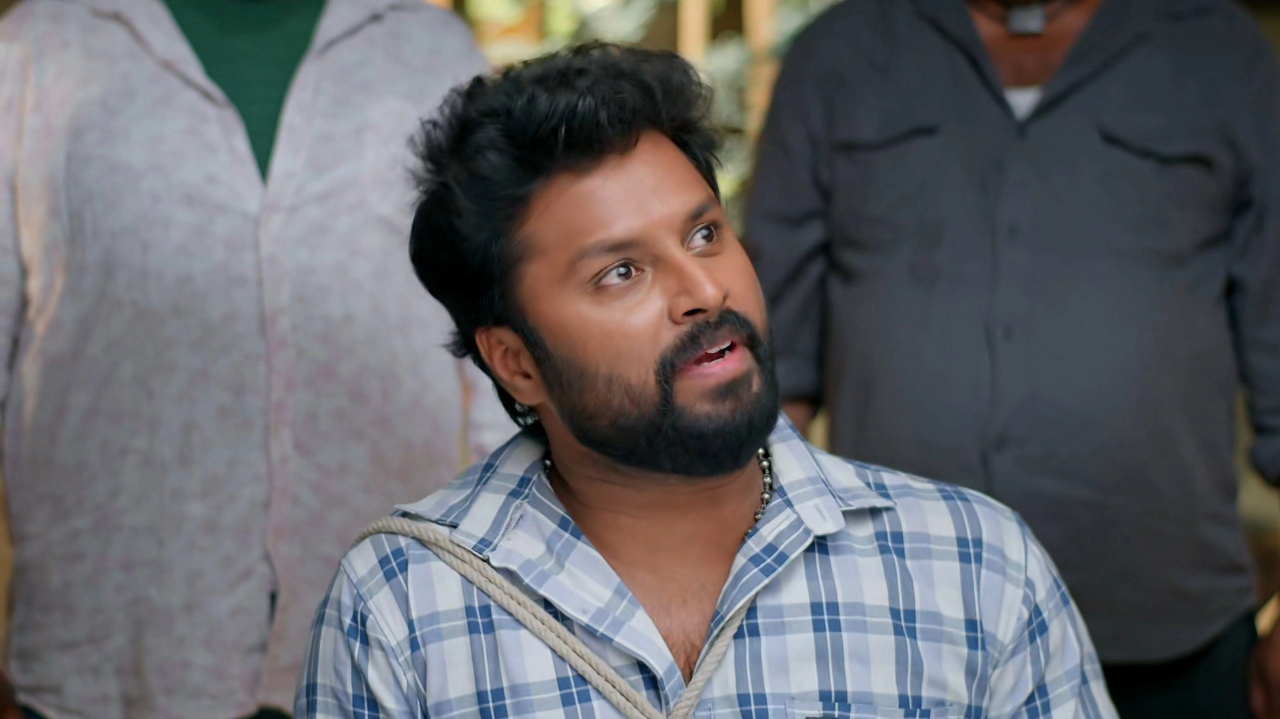 Podarillu
