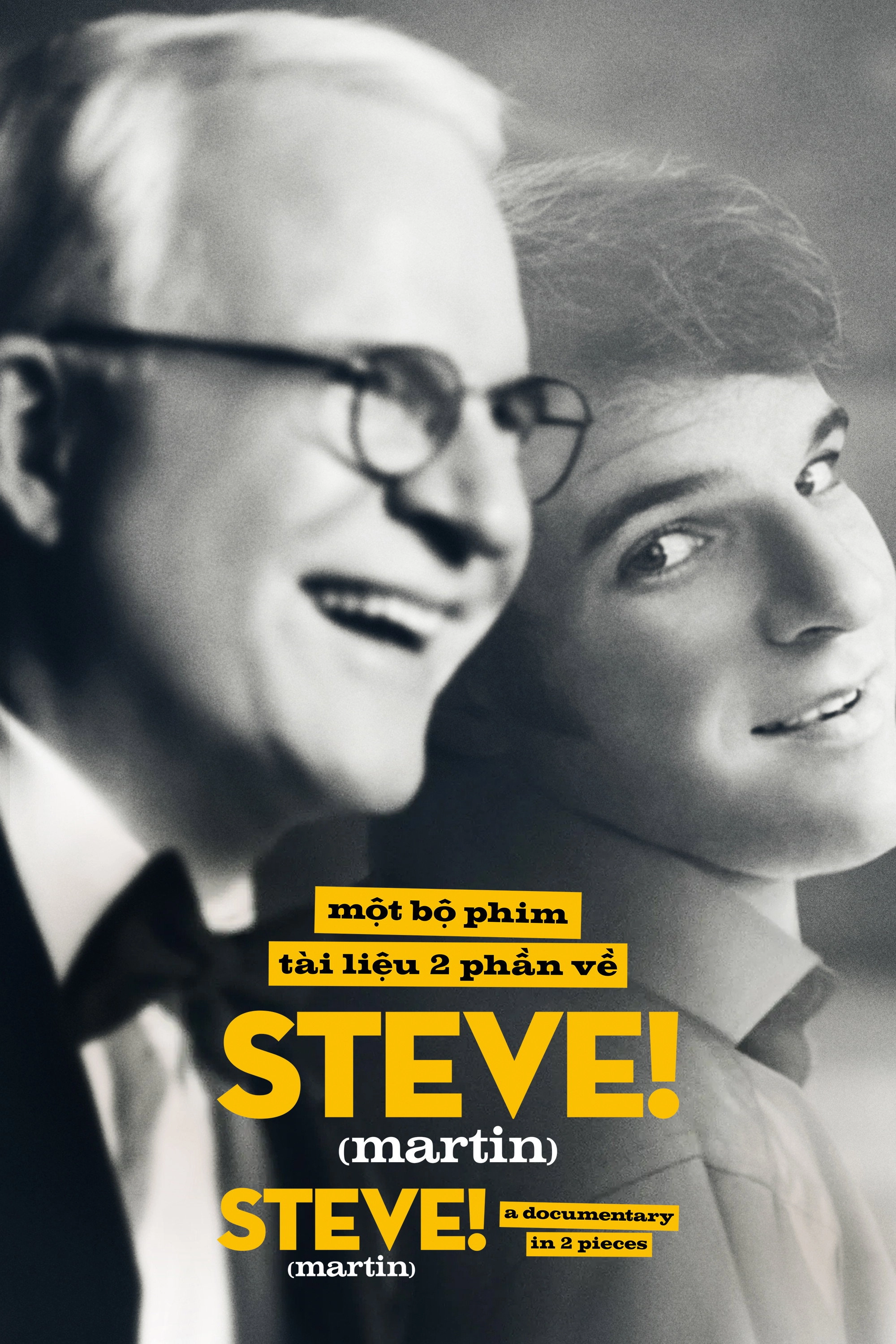 STEVE! (martin) a documentary in 2 pieces