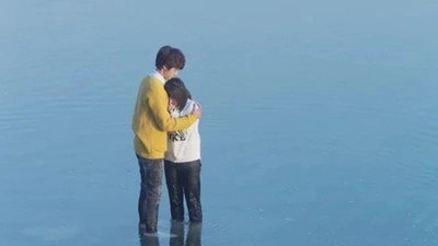 Meteor Garden