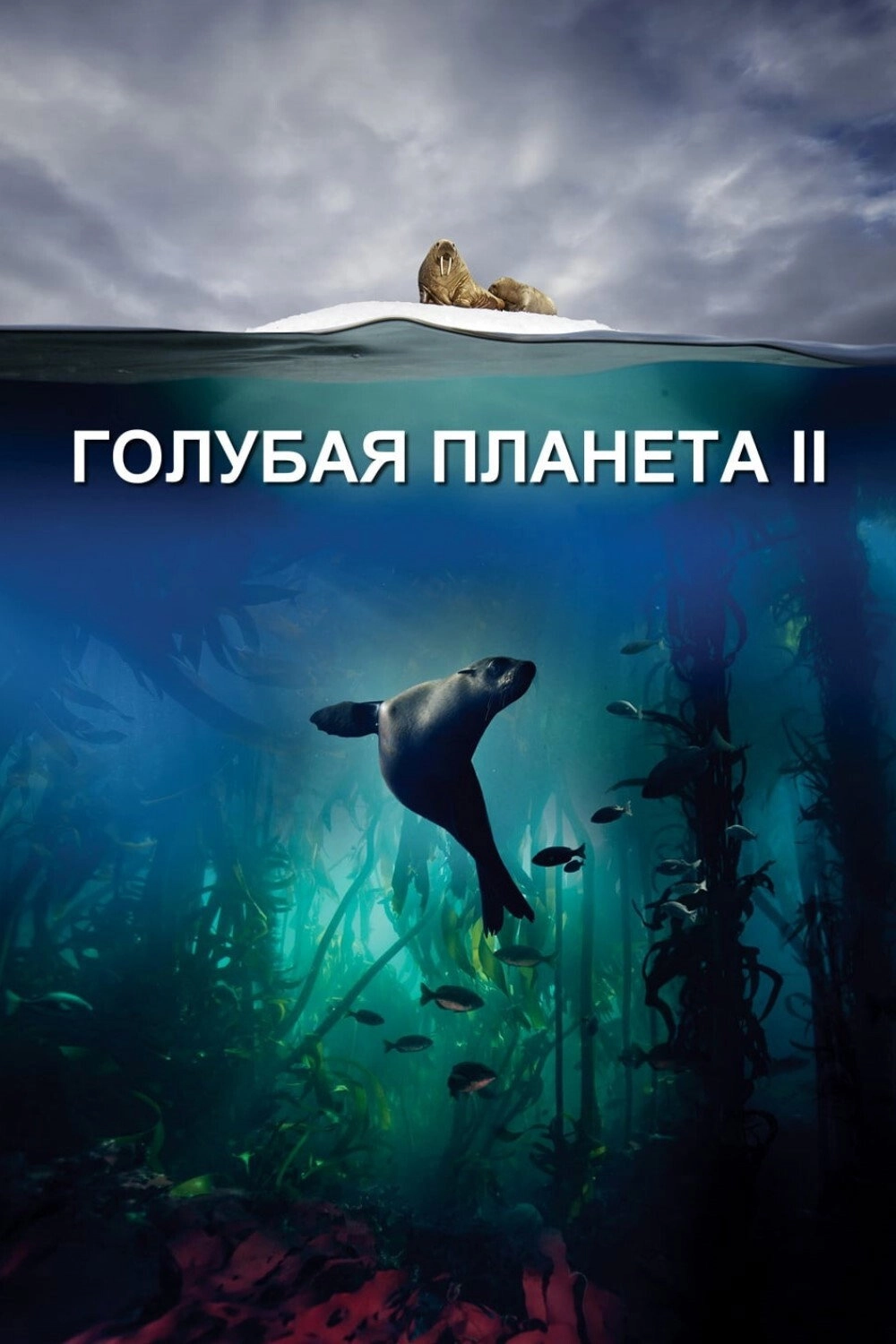 Blue Planet II
