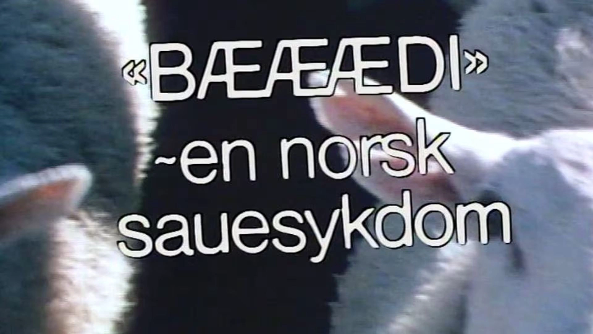 Fjærsynet