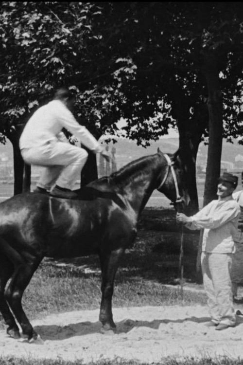 Vaulting