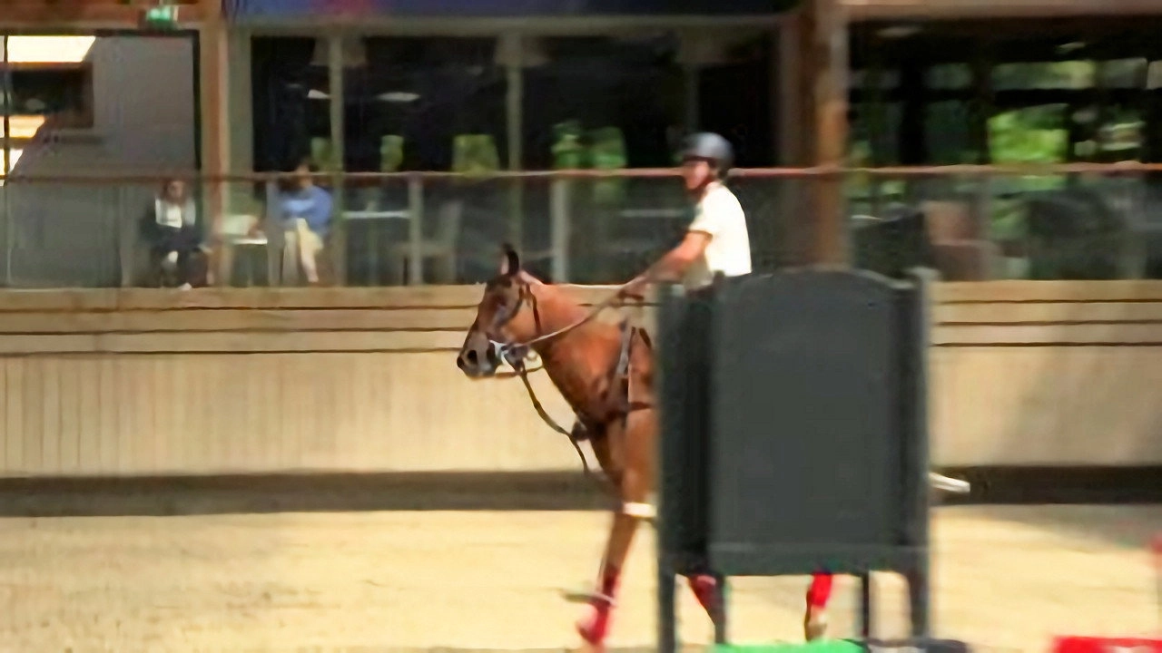 Au galop ! une saison à cheval