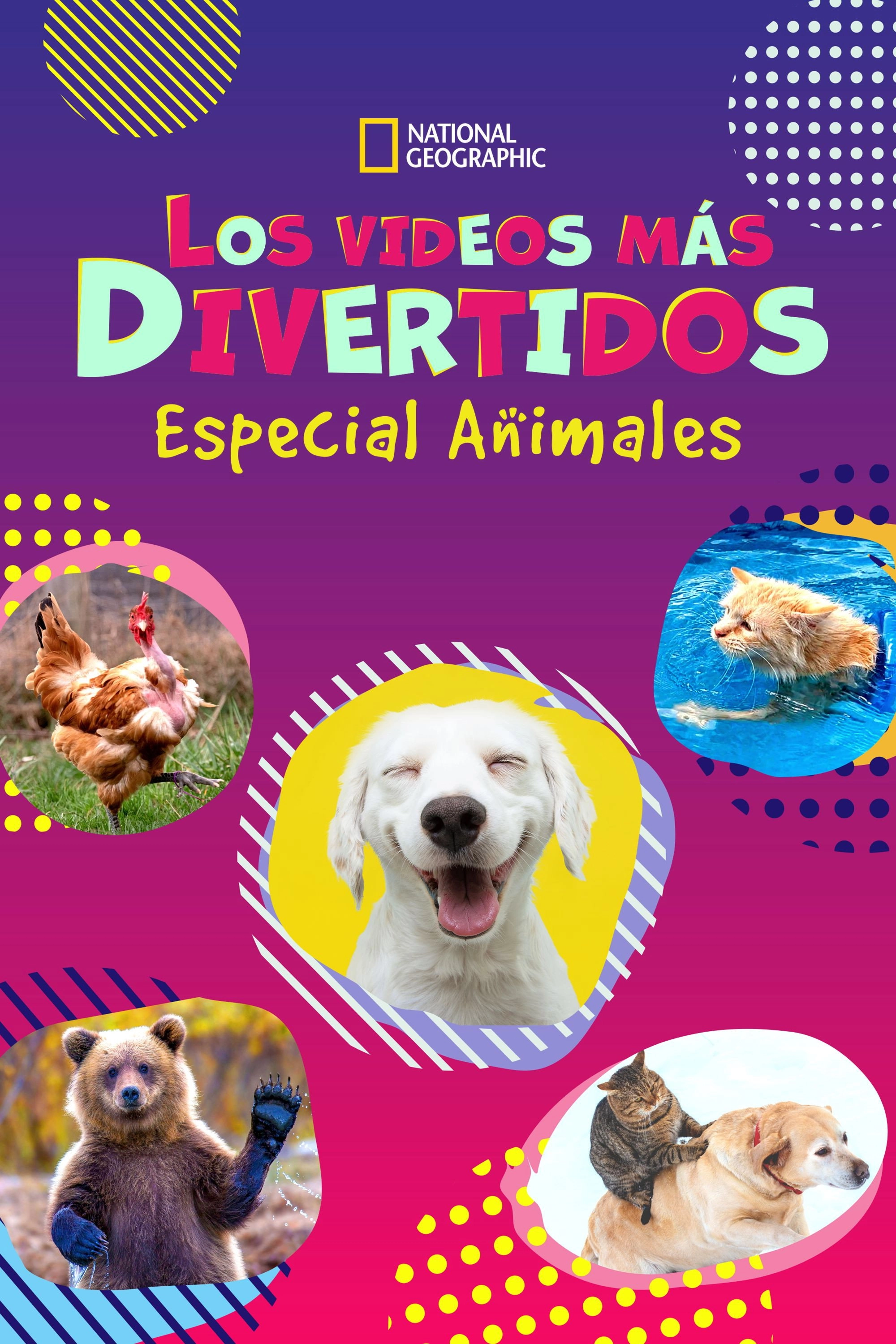 America's Funniest Home Videos: Animal Edition