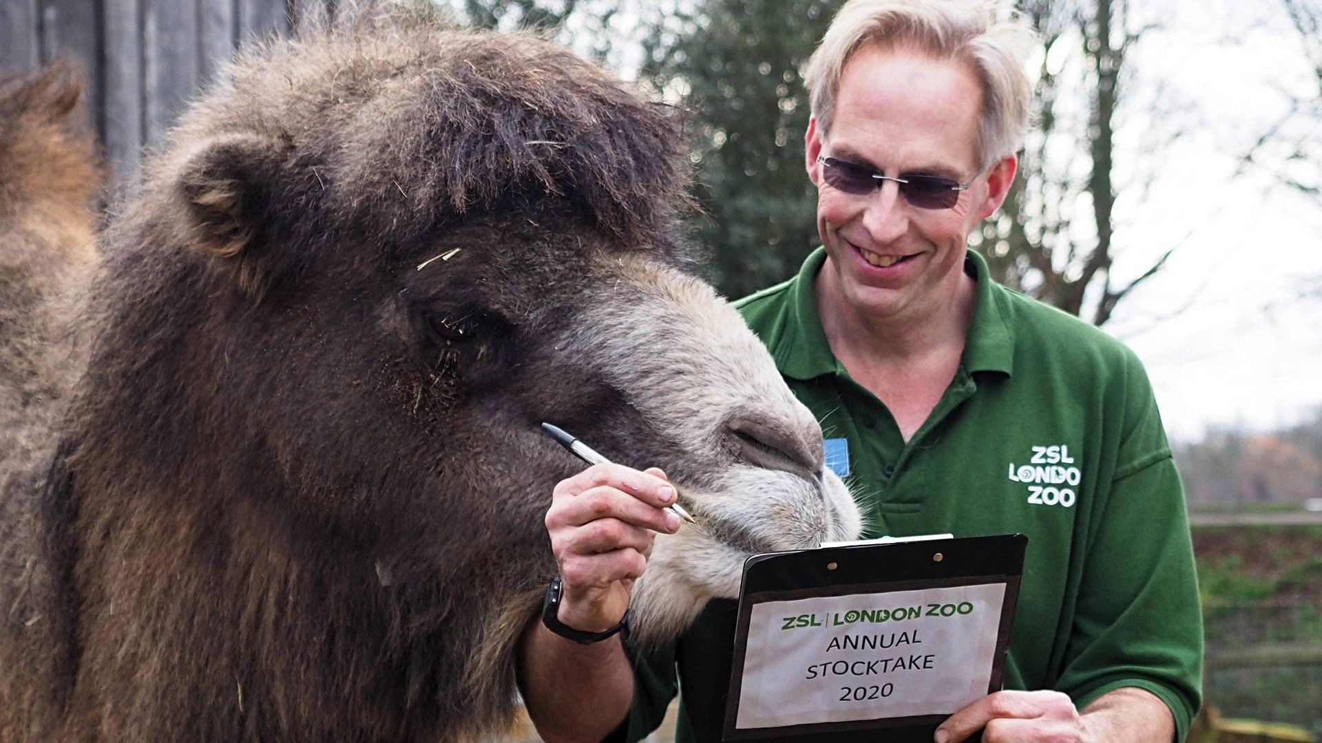 London Zoo: An Extraordinary Year