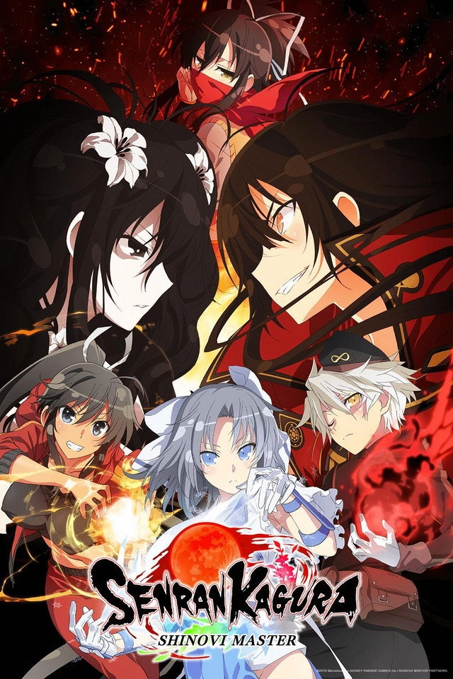 Senran Kagura: Ninja Flash