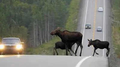 Kanadas Nationalparks
