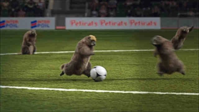 Les Marmottes