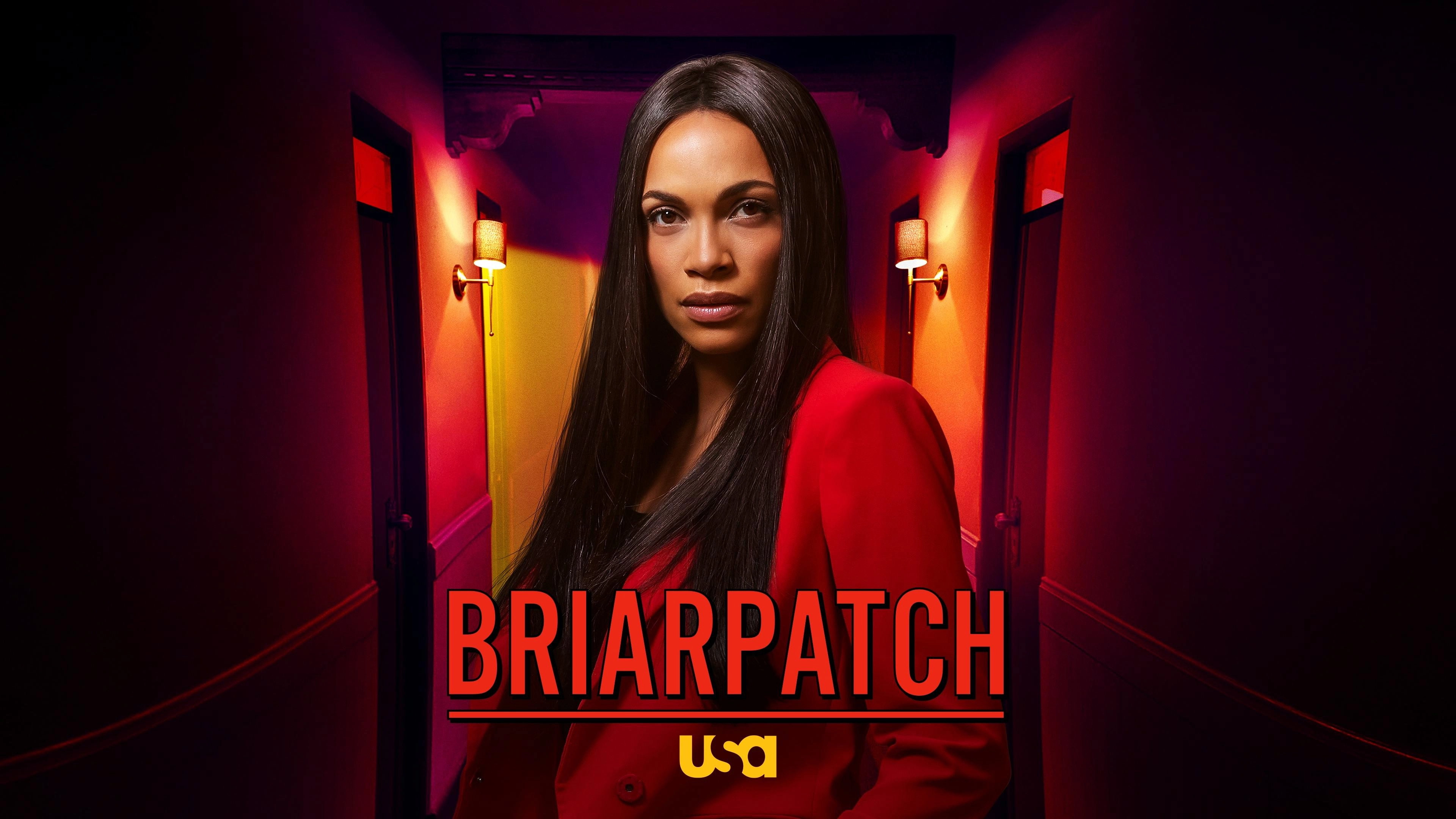 Briarpatch