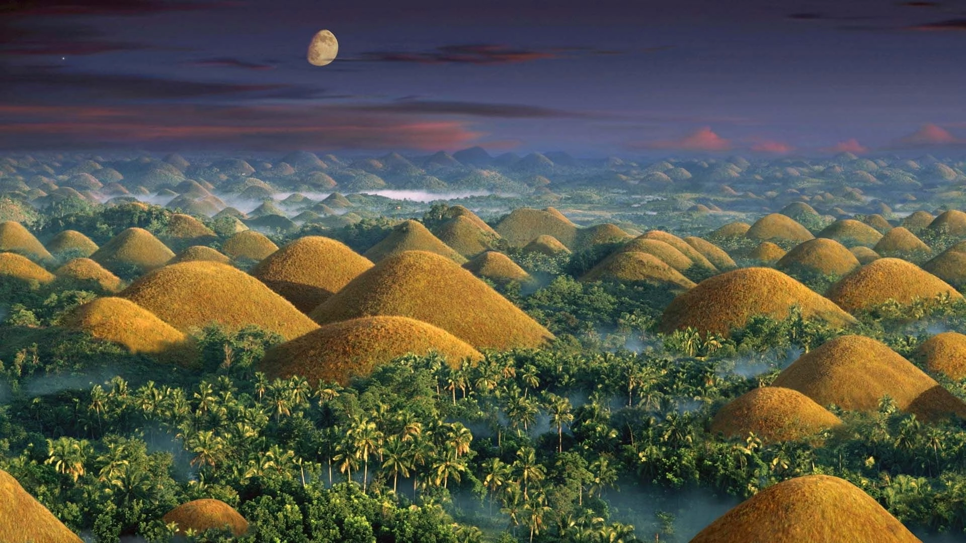 Saving paradise