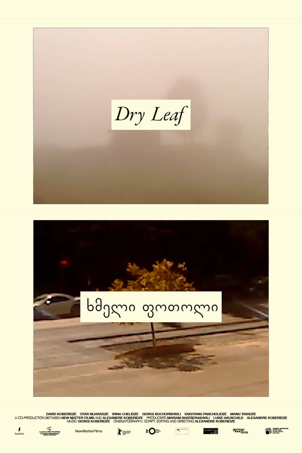 Dry Leaf