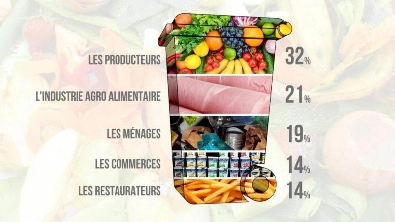 Le Doc du dimanche