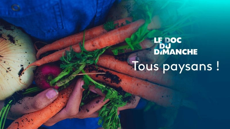 Le Doc du dimanche