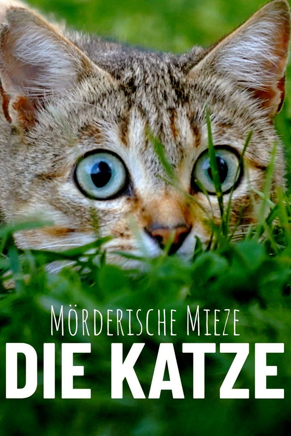 The Cat: A Cuddly Killer