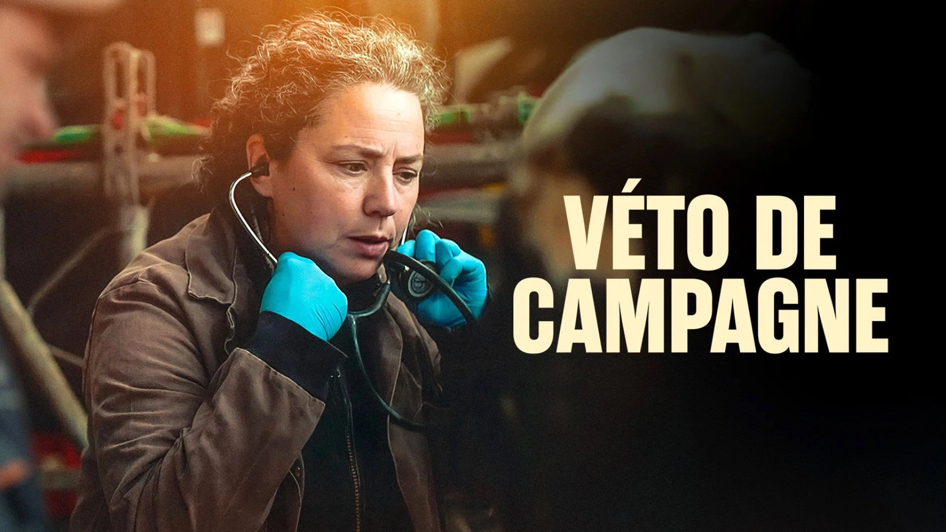 Véto de campagne
