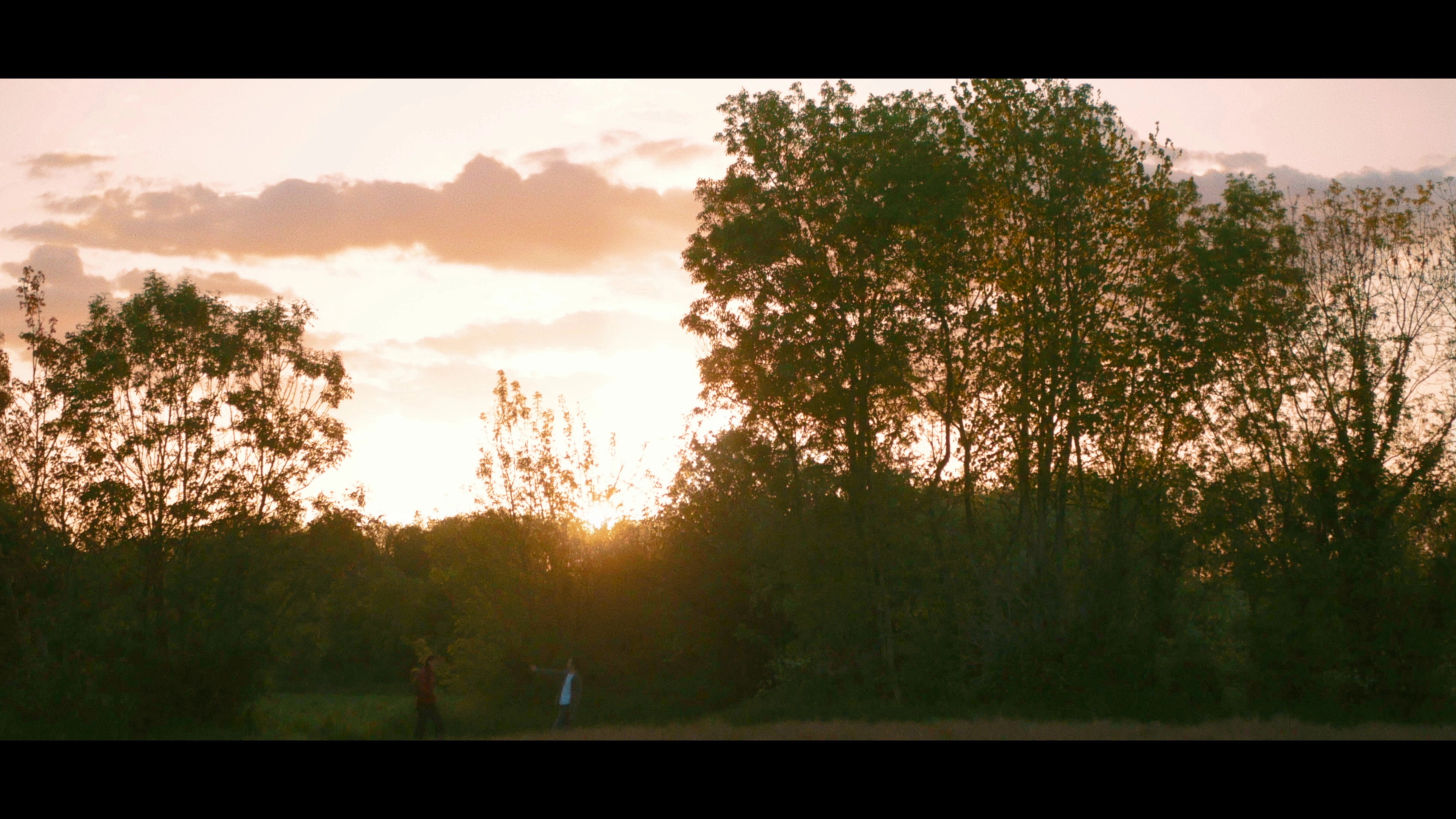 Dawn's Sunset