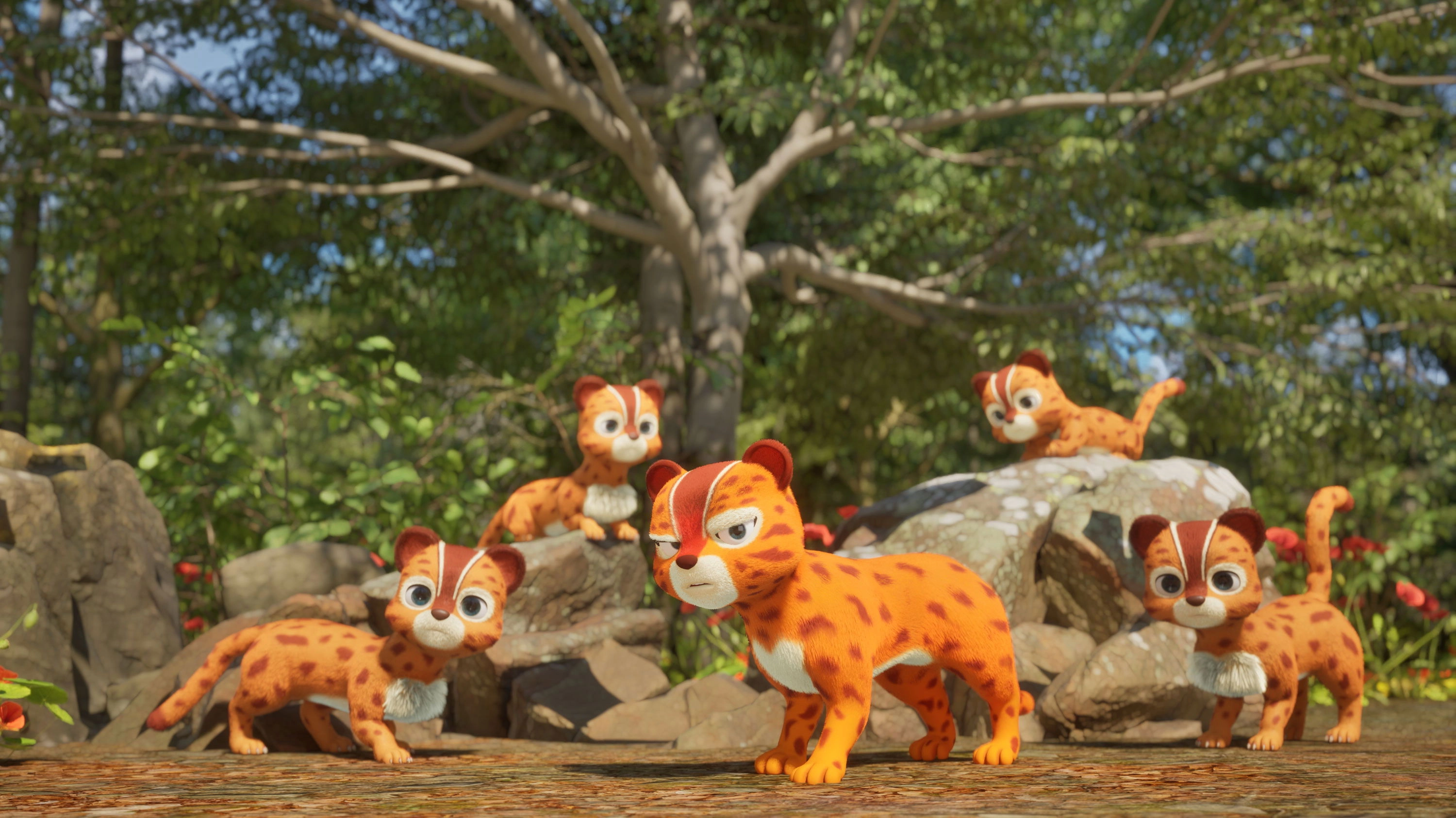 DMZ Animal Rangers