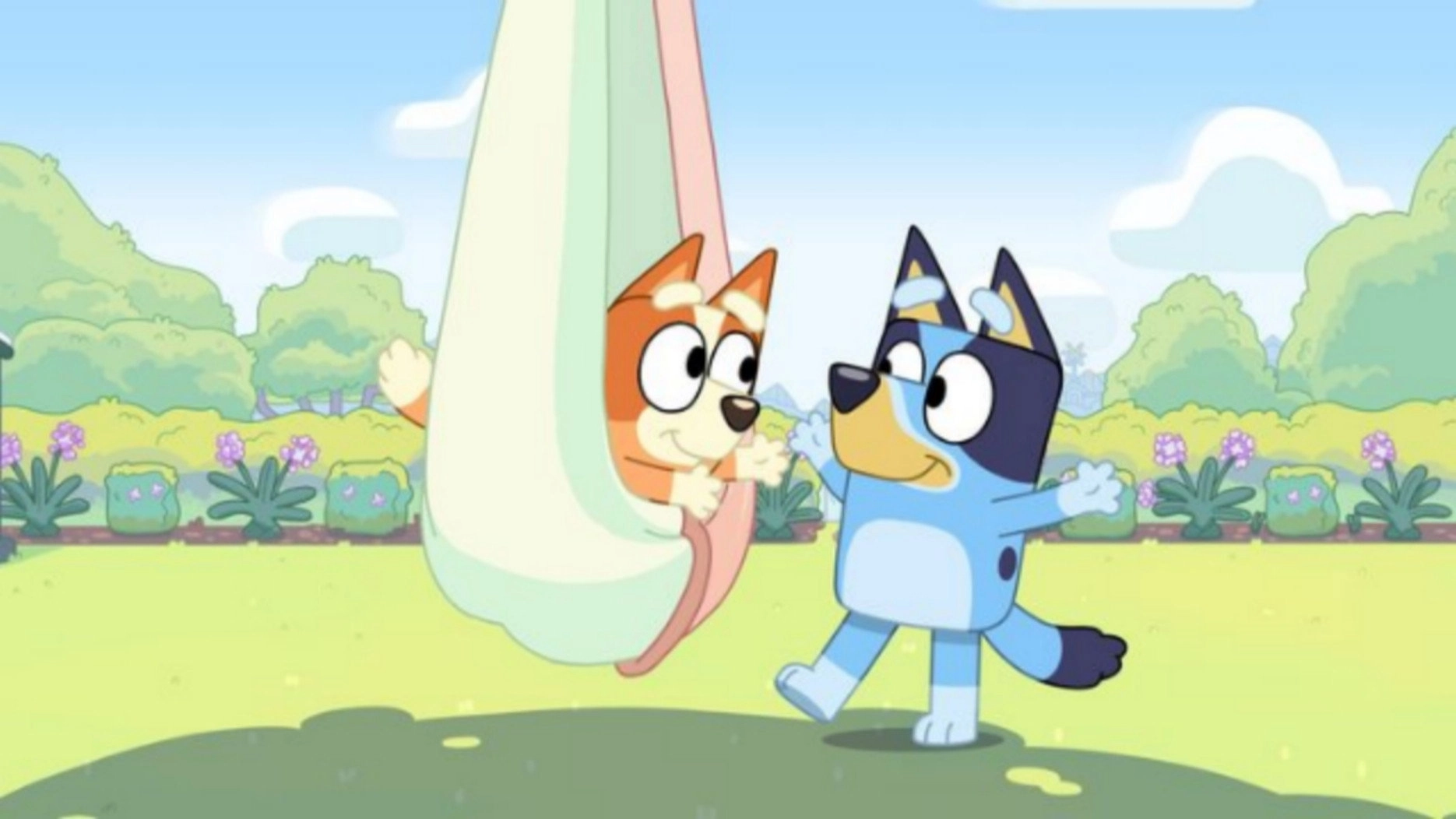 Bluey