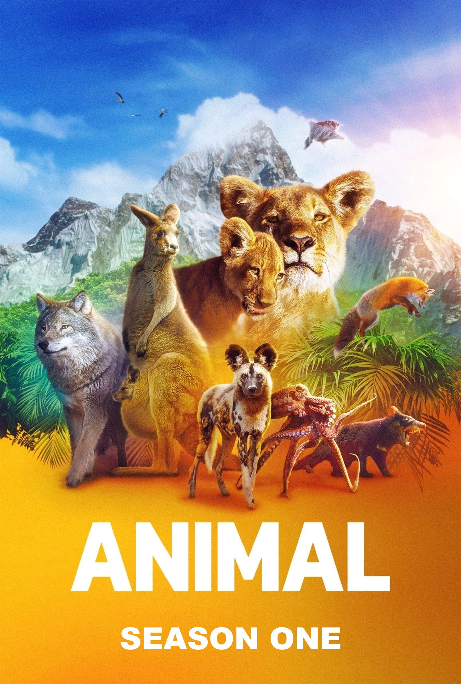 Animal