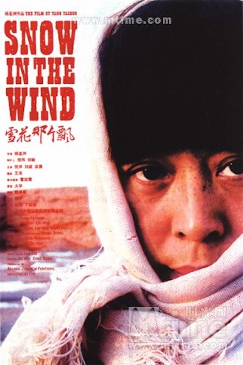 Snow in the Wind