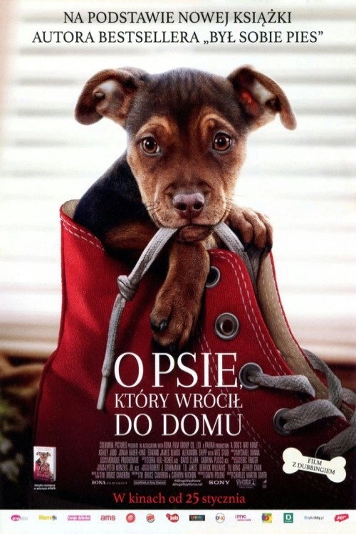 A Dog's Way Home