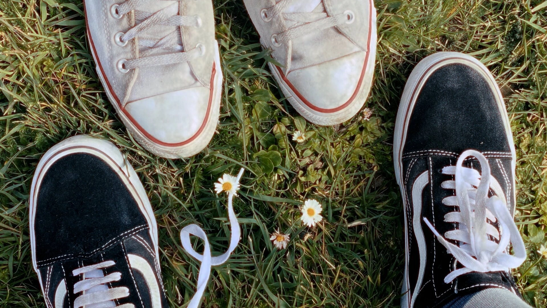 Heartstopper Forever