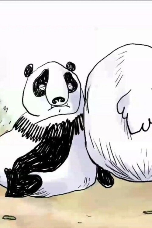 Pandas in the Mist