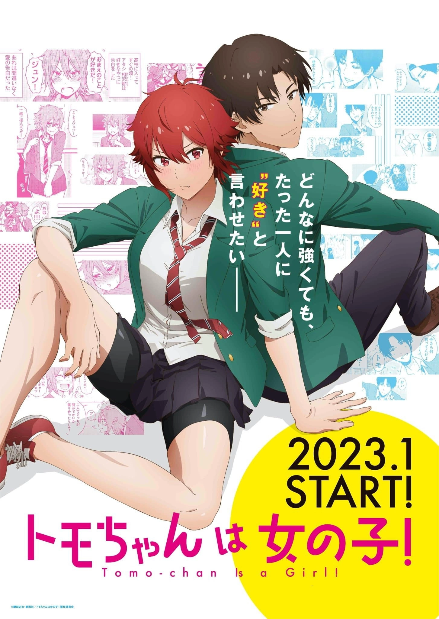 Tomo-chan Is a Girl!