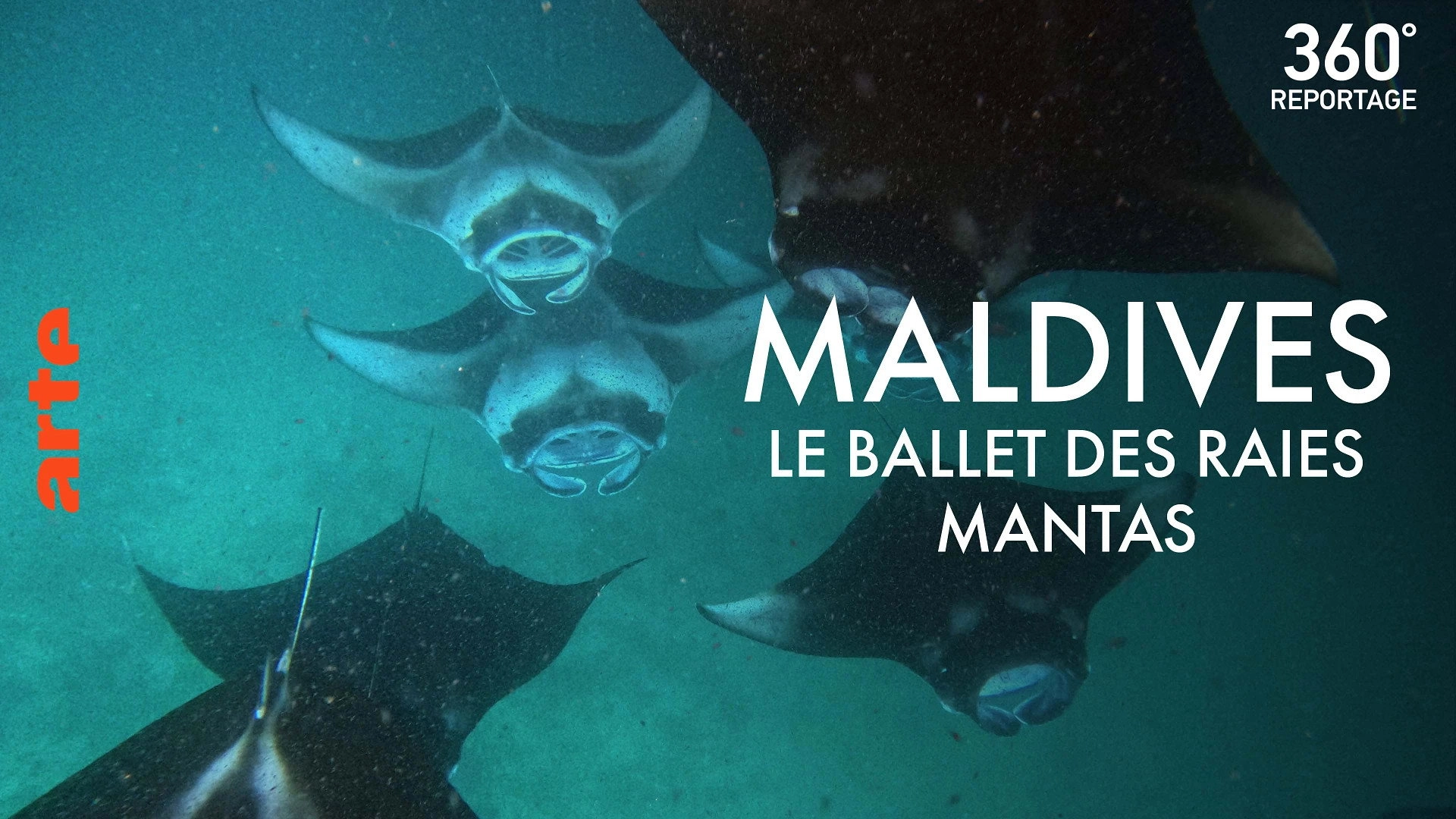360° Reportage