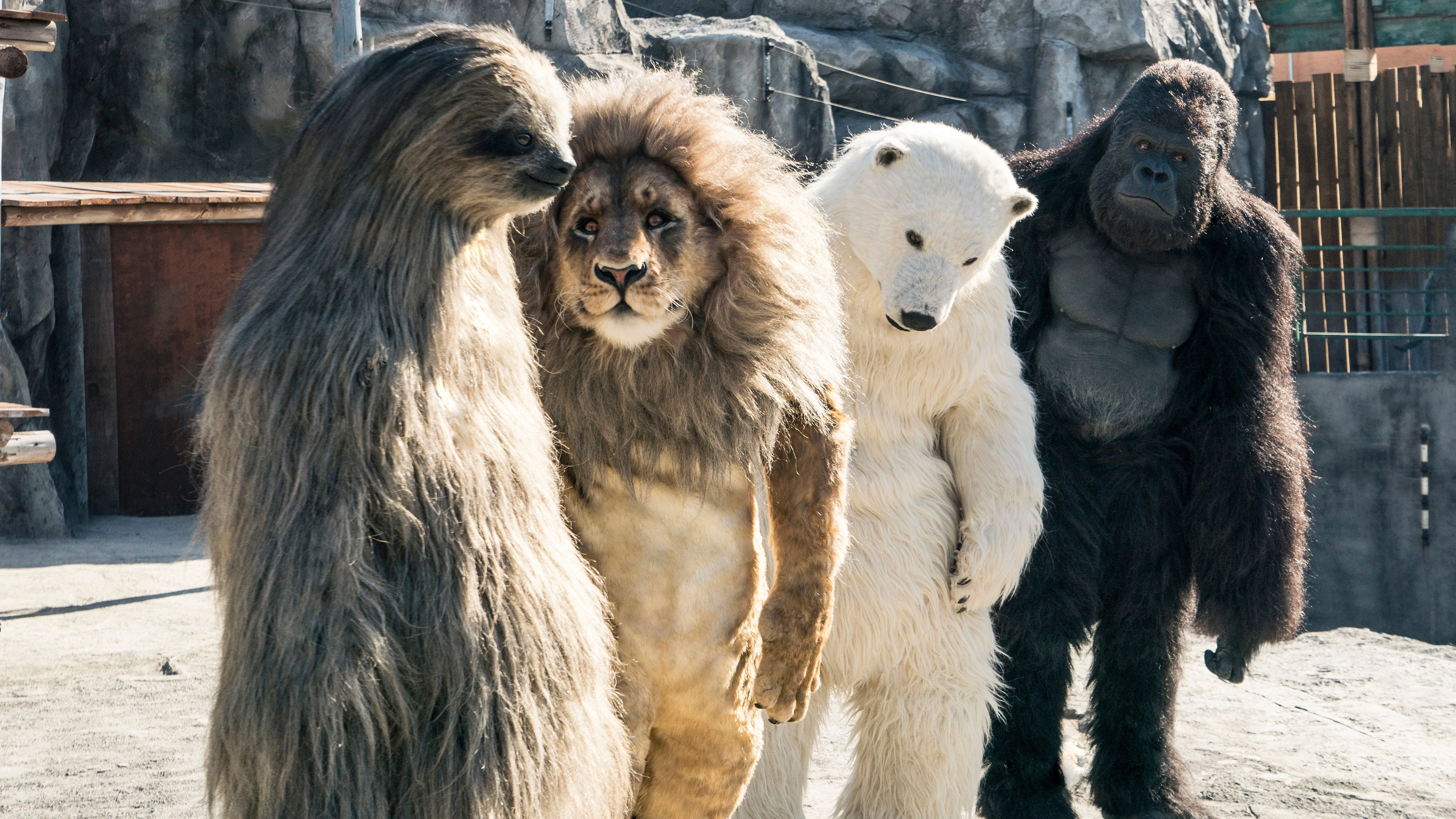 Secret Zoo