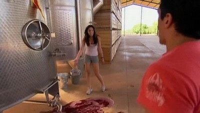The Amazing Race Australia