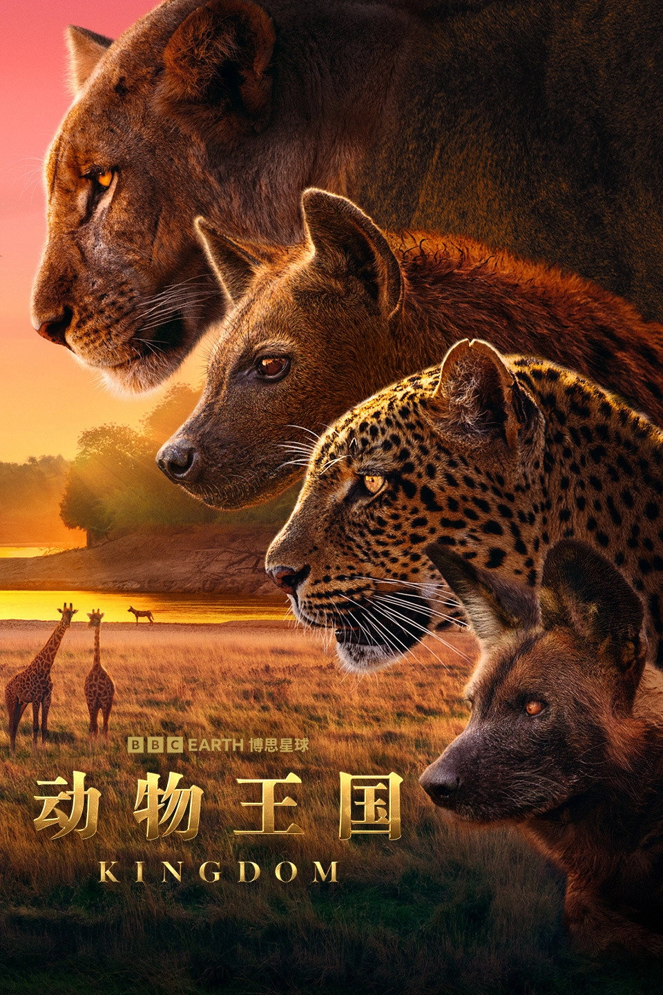 Kingdom