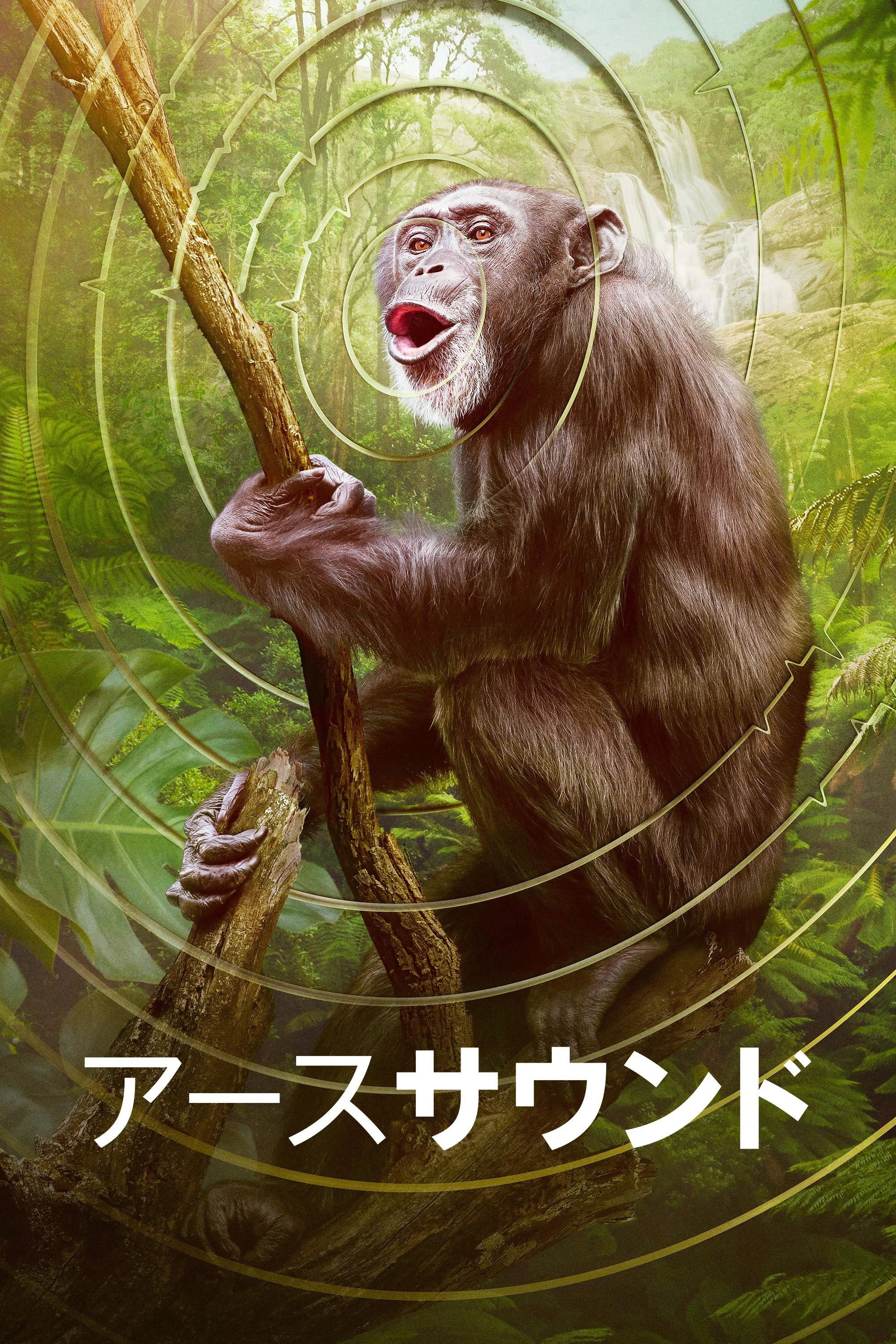 Earthsounds