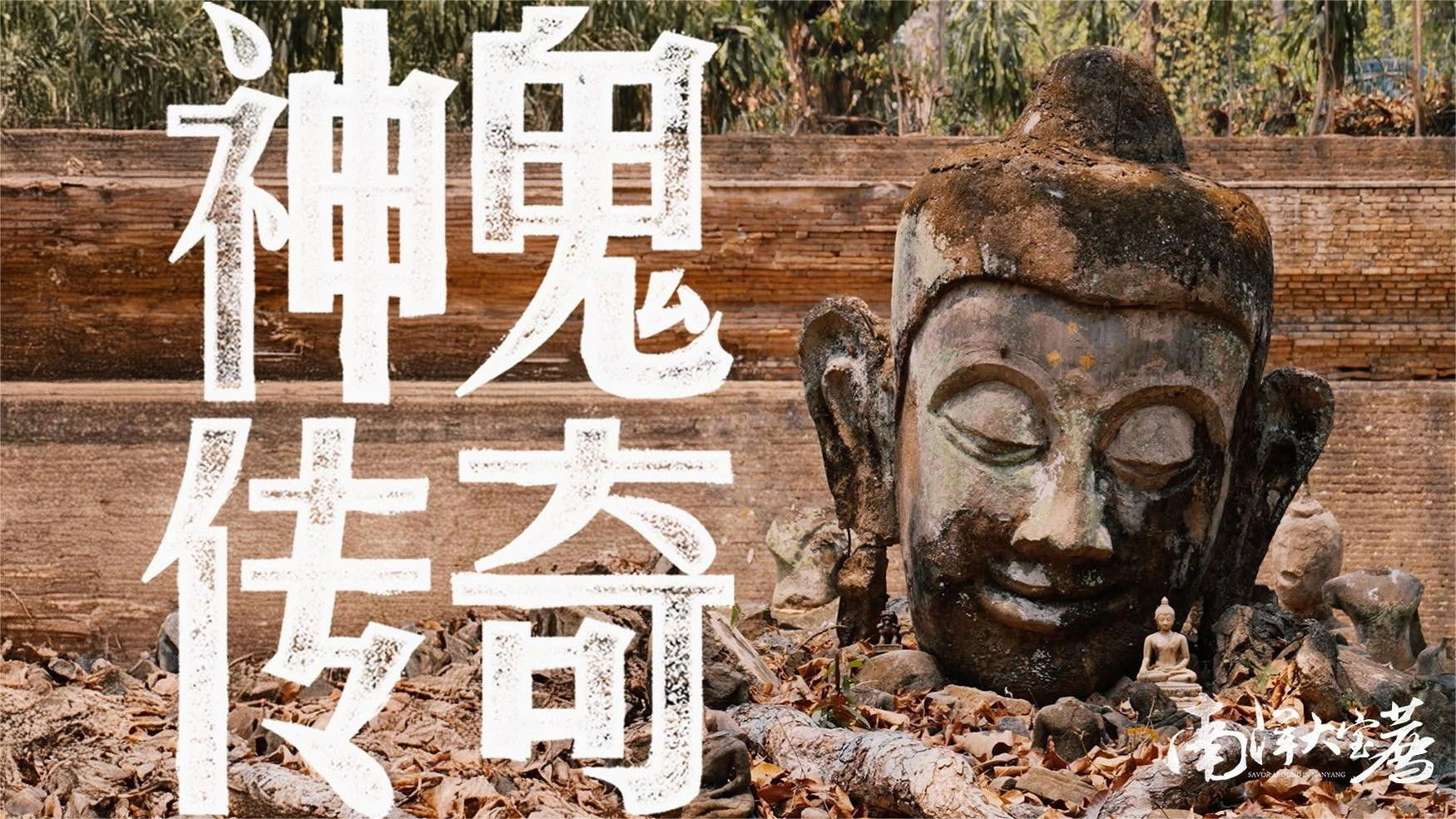 ShiPinDao Charging Documentary