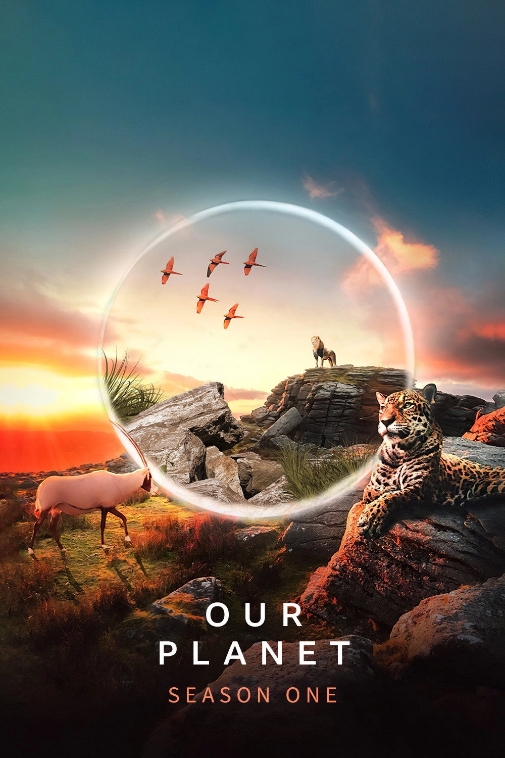 Our Planet