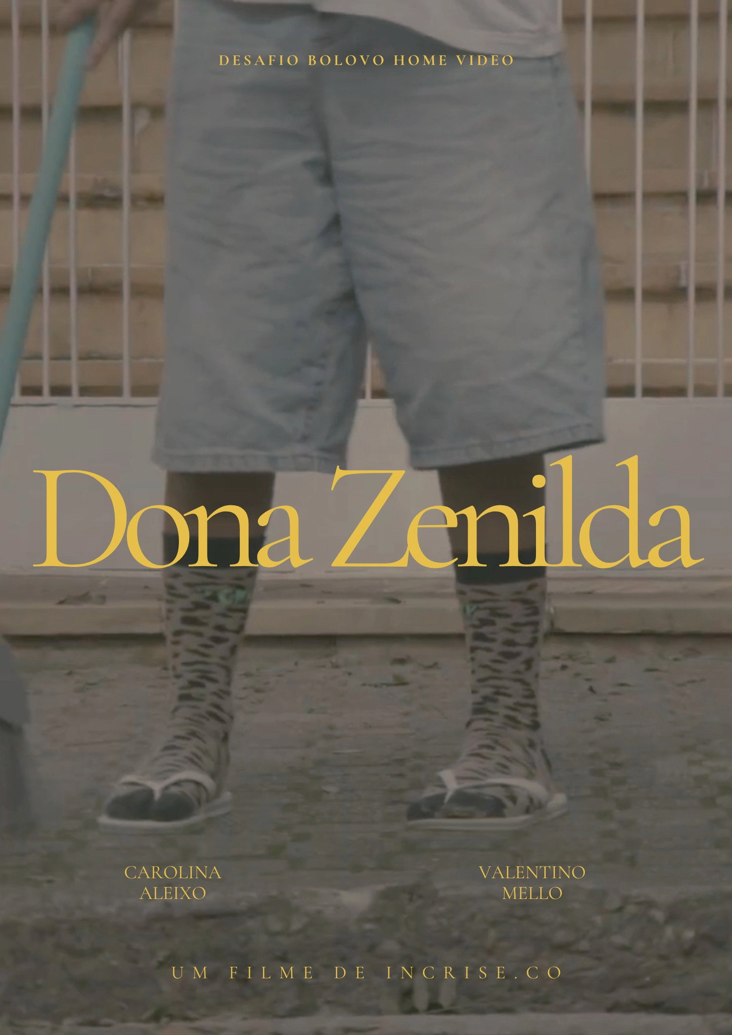 Dona Zenilda