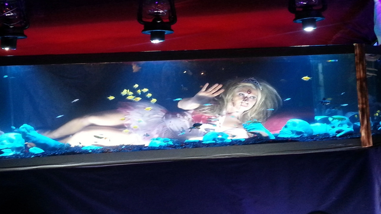 Tanked