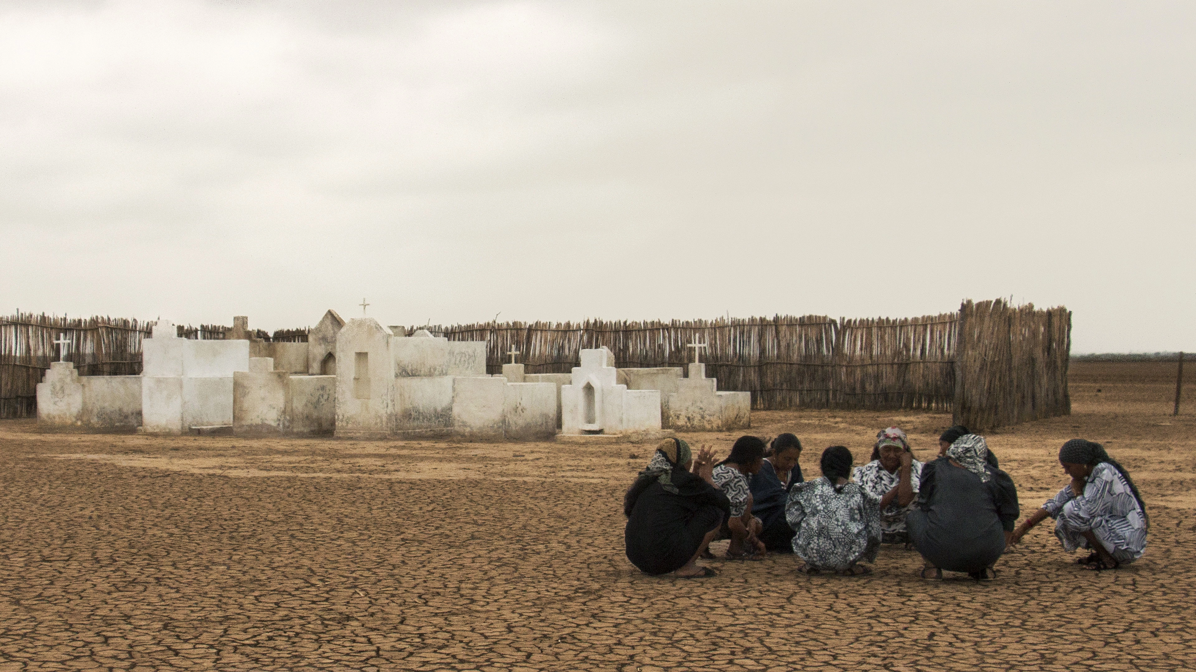 Birds of Passage