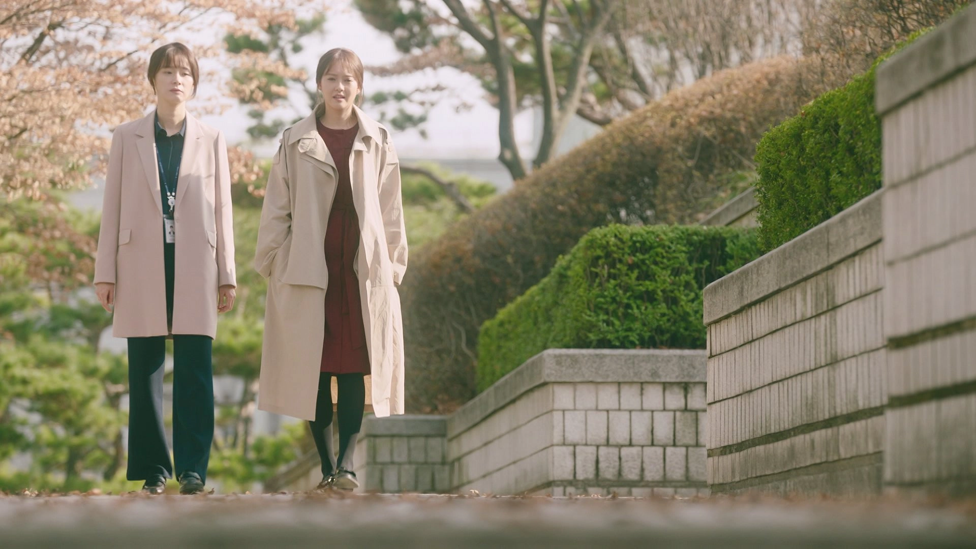 Miss Hammurabi