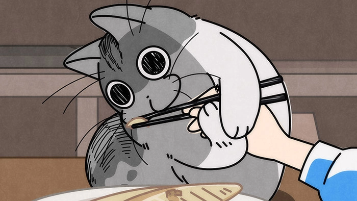 Nights with a Cat