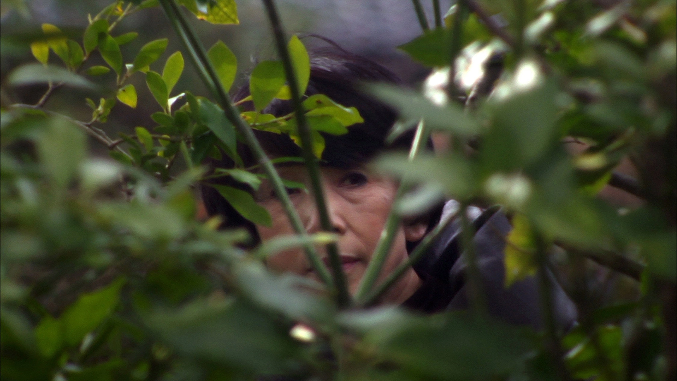Cop Land