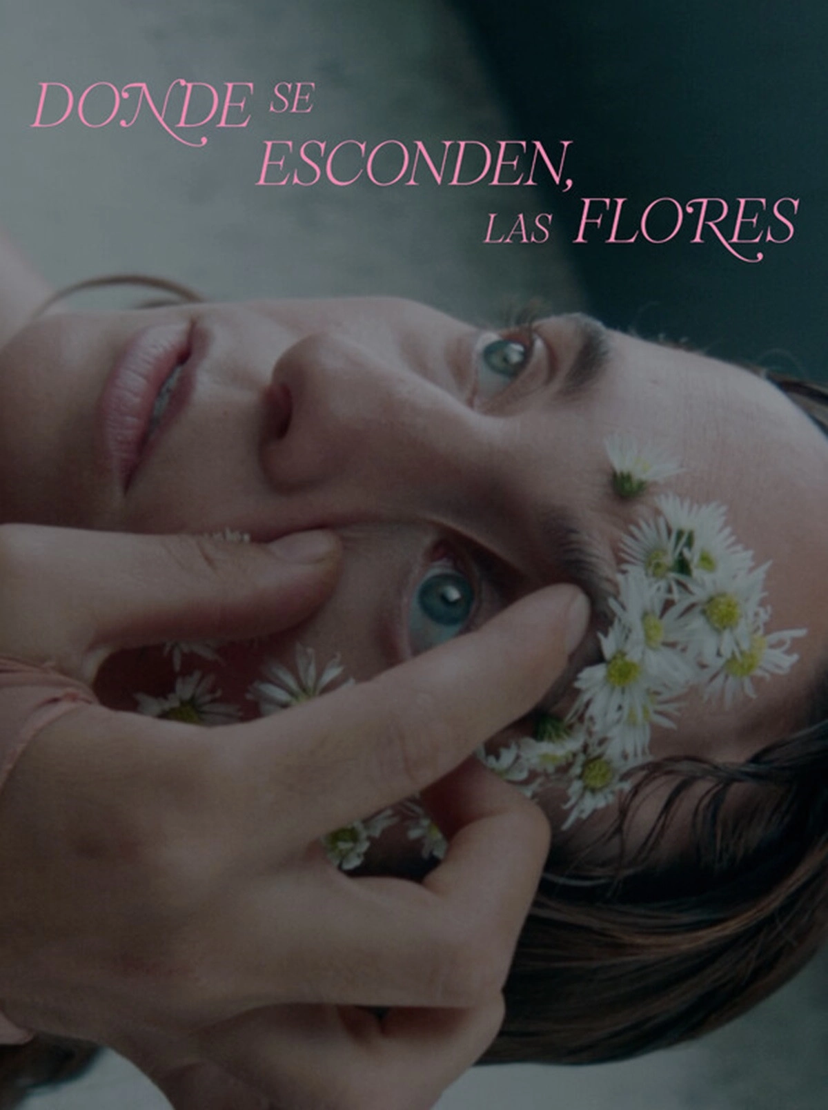 Donde se esconden, las flores