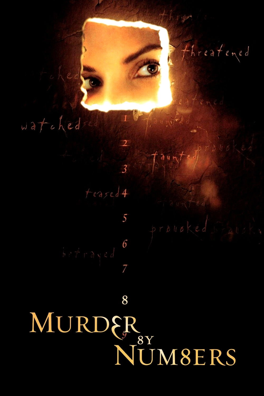 Murder by Numbers