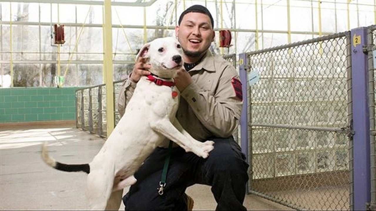 Animal Cops: Philadelphia