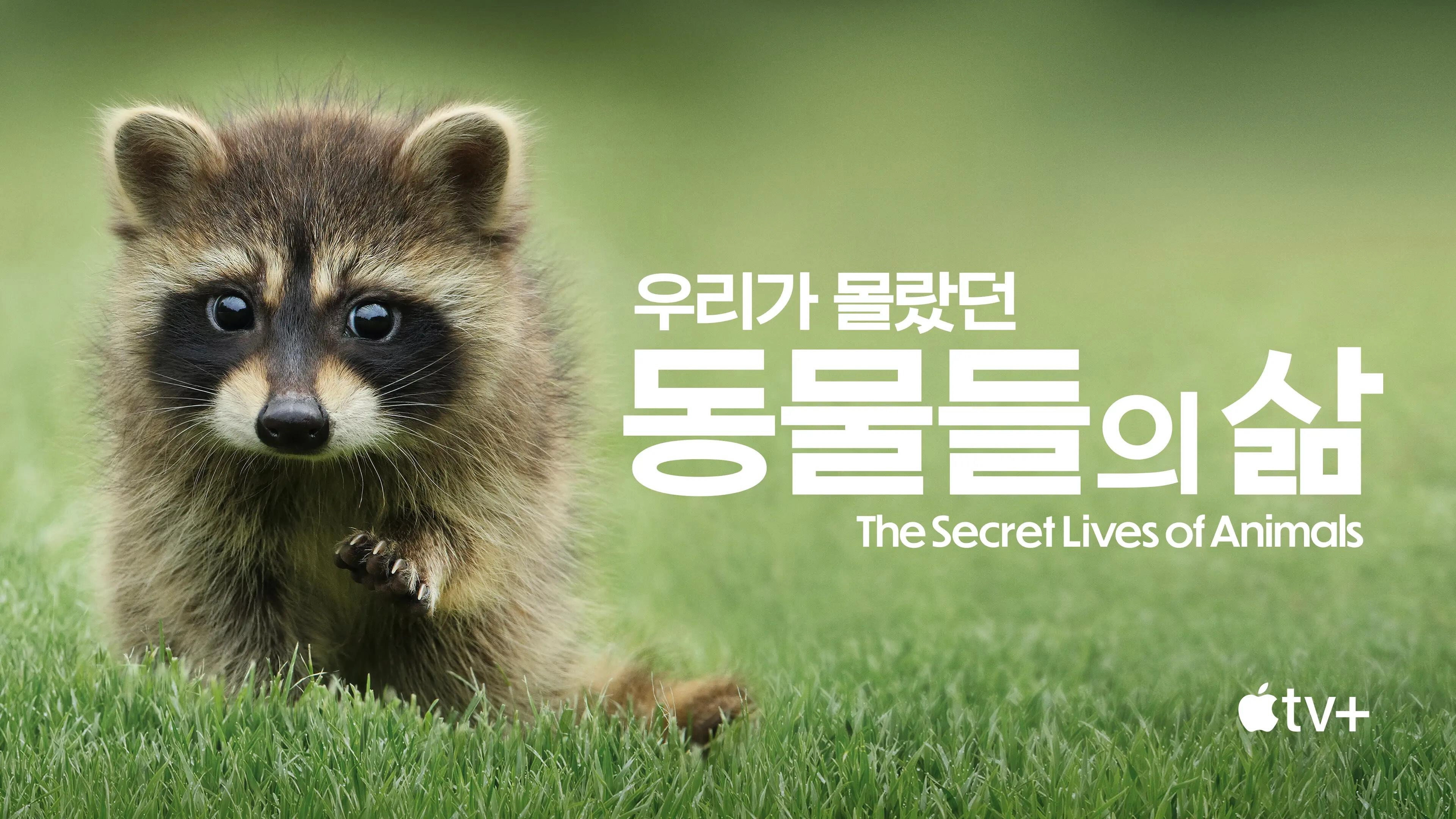 The Secret Lives of Animals